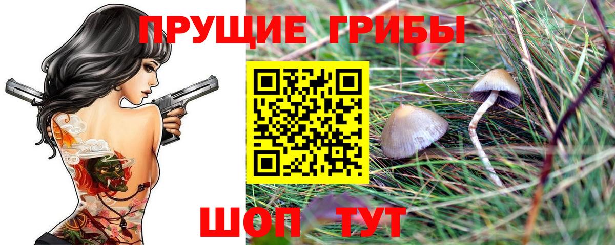 Киселёвск  Галлюциногенные грибы GOLDEN TEACHER  Вход с VPN  Галлюциногенные грибы GOLDEN TEACHER 